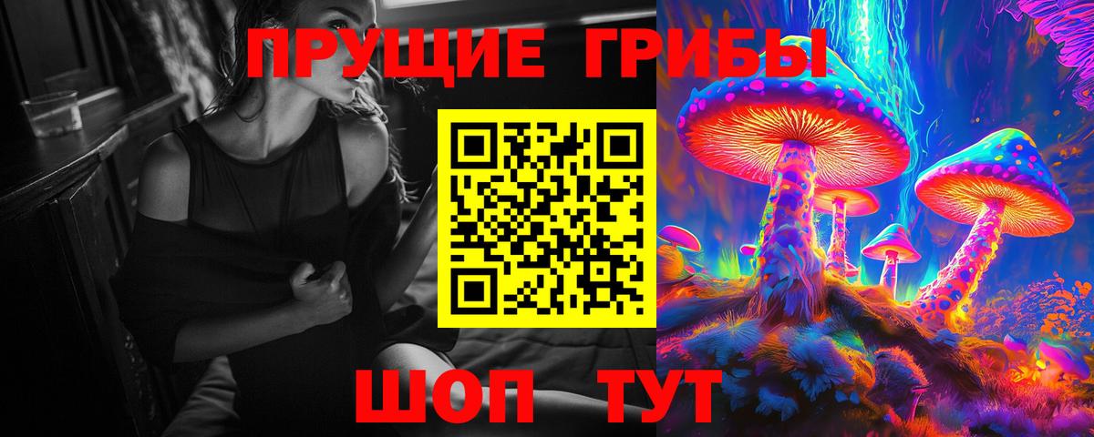 Псилоцибиновые грибы Psilocybe  Вход с VPN  Галлюциногенные грибы MAGIC MUSHROOMS  что такое   Михайловск 